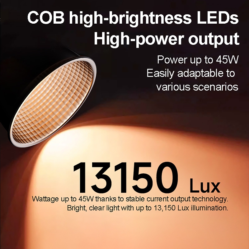 60W RGB Video Light Portable L - đánh giá và giá Photography Lighting Handheld